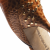Enzo Angiolini crystal and stud embellished peep toe pumps